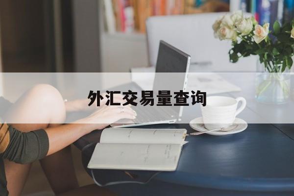 外汇交易量查询(外汇交易统计)