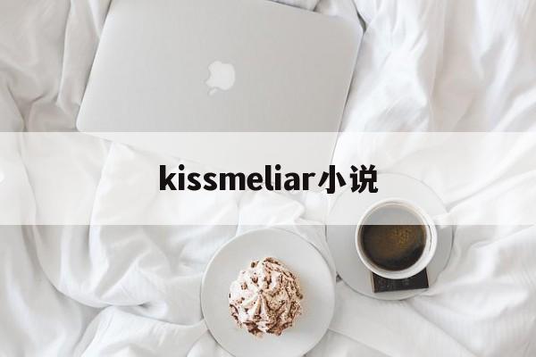 kissmeliar小说(kiss me liar有小说吗)