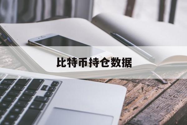 比特币持仓数据(比特币持仓数据怎么查)