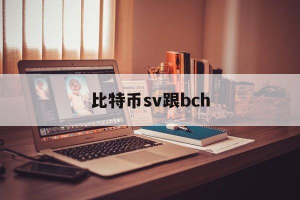 比特币sv跟bch(比特币bch和bcc)